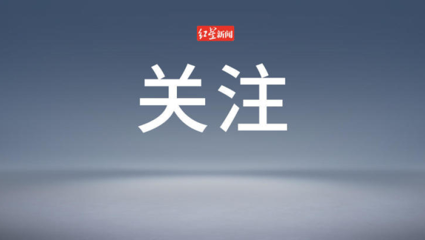难哄预告甜回来了,2025香港资料大全正版资料免费,精准解释落实的人生哲理_专家版V10.82